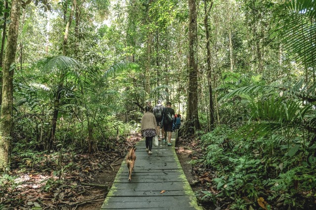 Kali Biru Genyem Di Papua Surga Cantik Di Bumi Cenderawasih